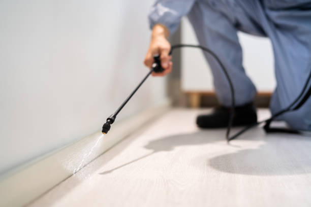 Rodent Entry Point Assessment in Brookhaven