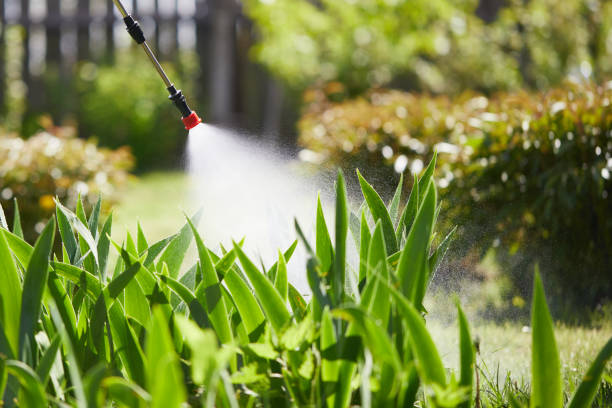 Tamper-Resistant Bait Stations for Rodents in Brookhaven