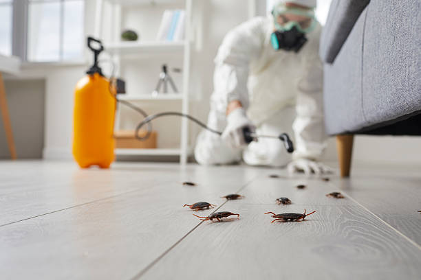 Commercial Rodent Management in Brookhaven
